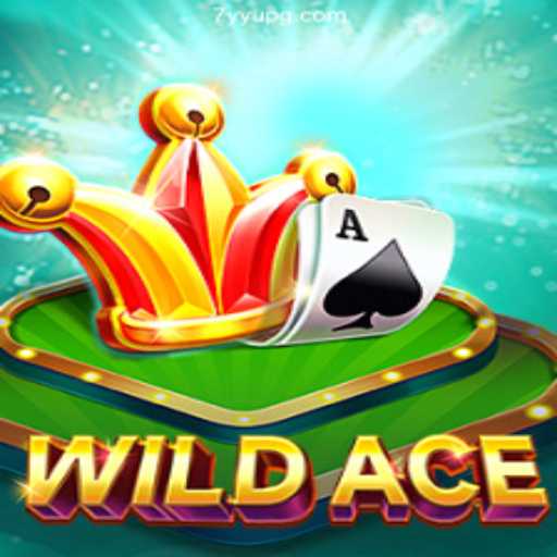 Exploring WildAce: A Thrilling Journey into Brazilian Online Gaming